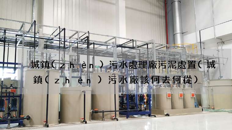 城鎮(zhèn)污水處理廠污泥處置(城鎮(zhèn)污水廠該何去何從)